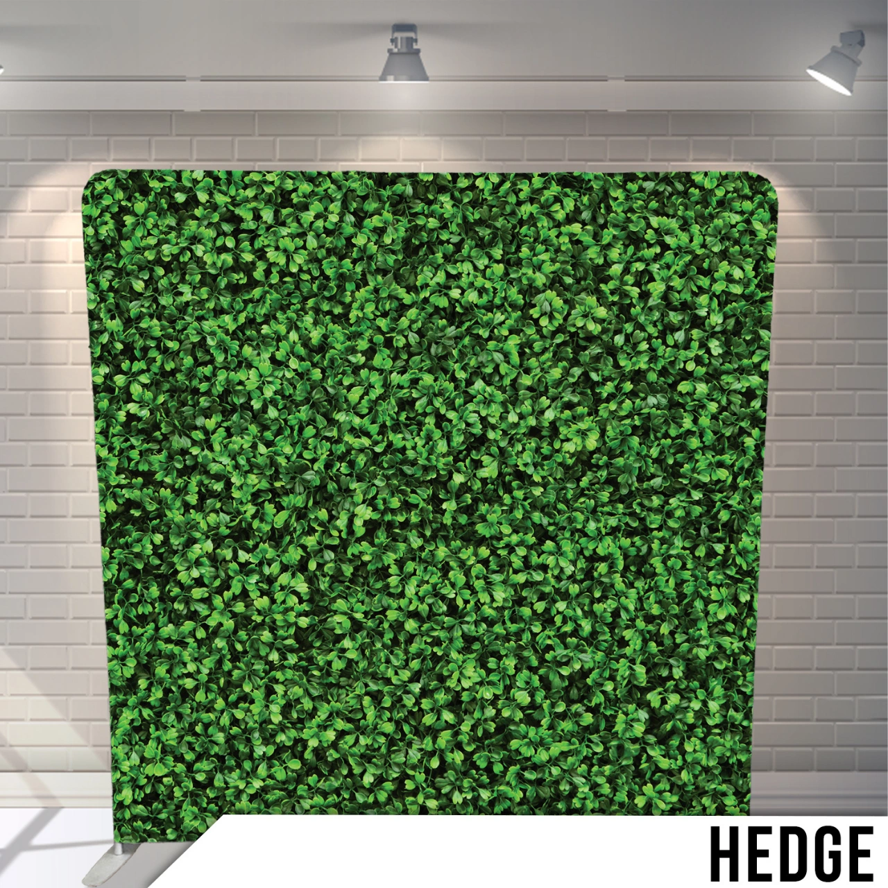 HEDGE